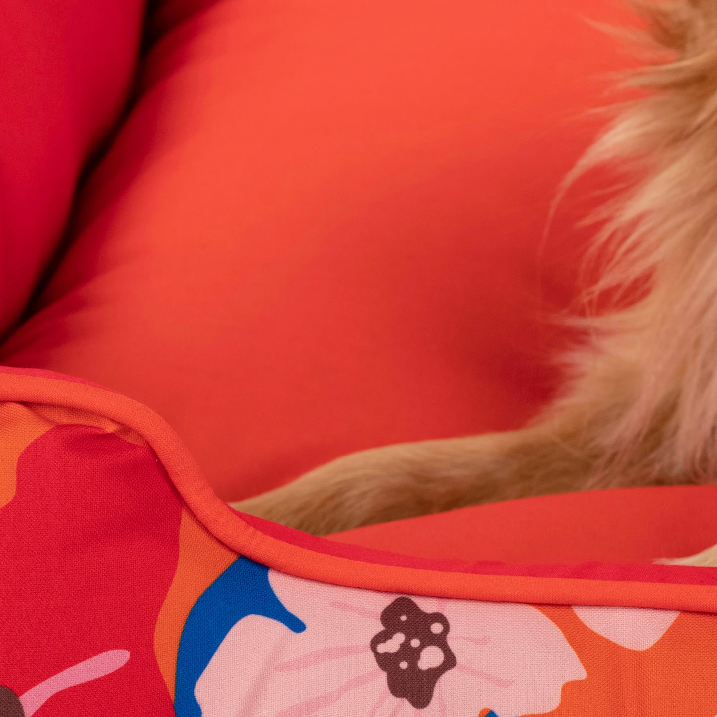 HUFT Petal Play Lounger Dog Bed - Orange - Heads Up For Tails