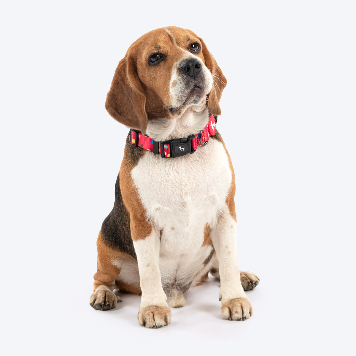 HUFT Polka Play Collar For Dog - Red - Heads Up For Tails