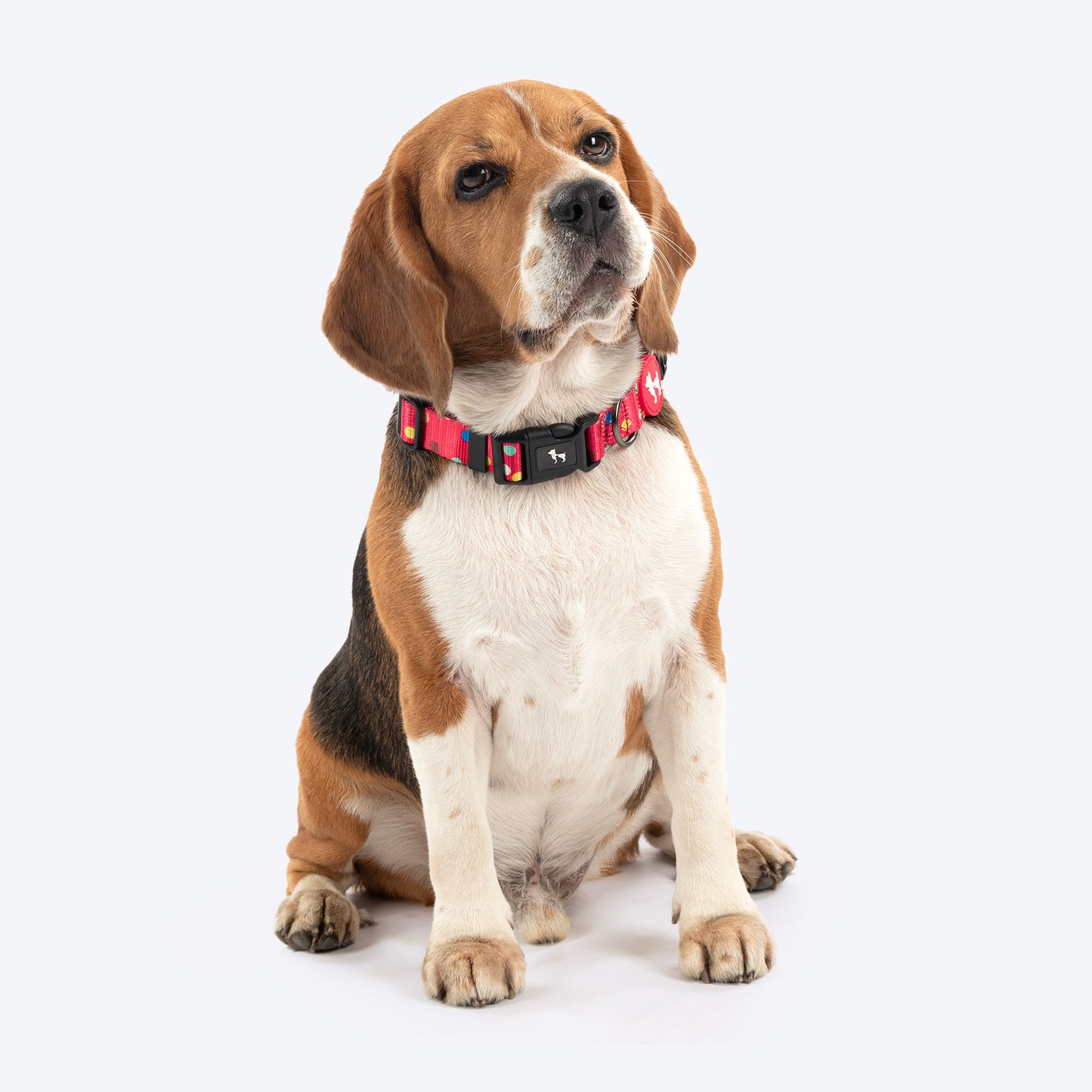 HUFT Polka Play Collar For Dog - Red