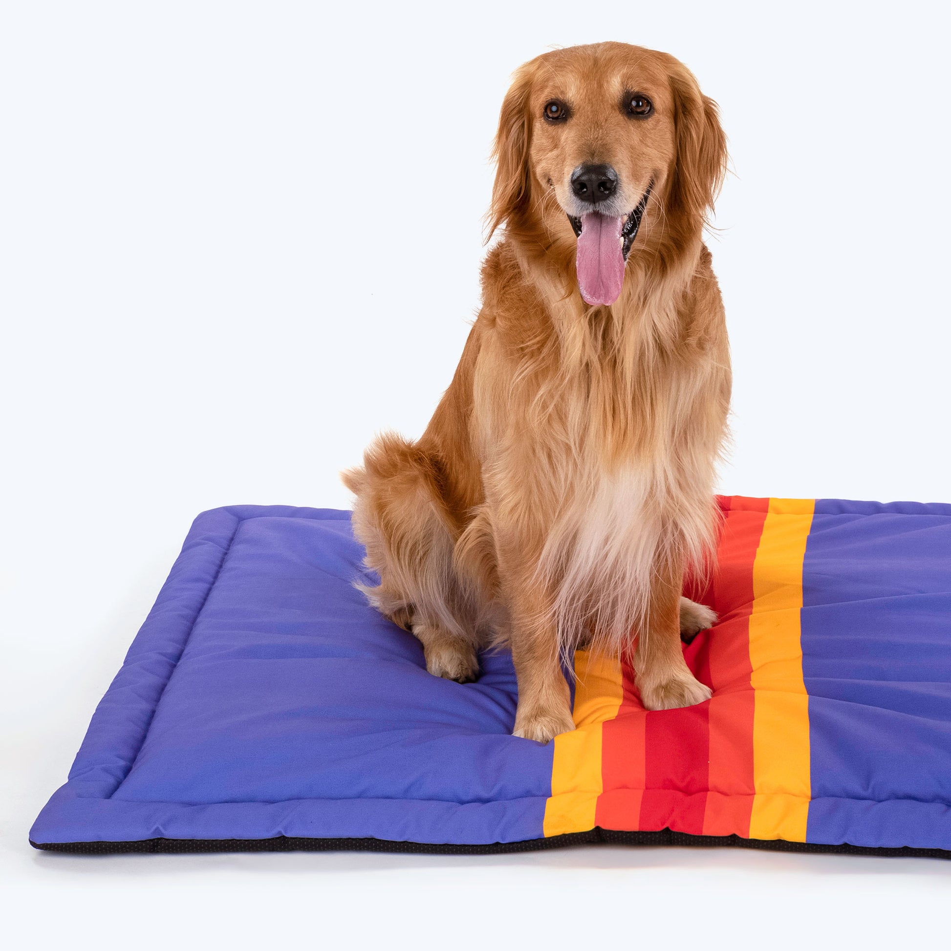 HUFT Golden Rays Pet Mat - Purple_02