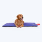 HUFT Golden Rays Pet Mat - Purple_03