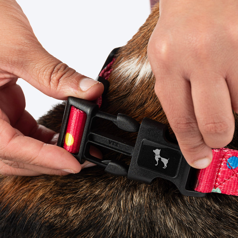 HUFT Polka Play Collar For Dog - Red - Heads Up For Tails