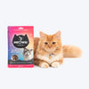 Meowsi Crunchies 4-in-1 Party Pack - Assorted Cat Treat - 35 g