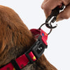 HUFT Polka Play Collar For Dog - Red - Heads Up For Tails