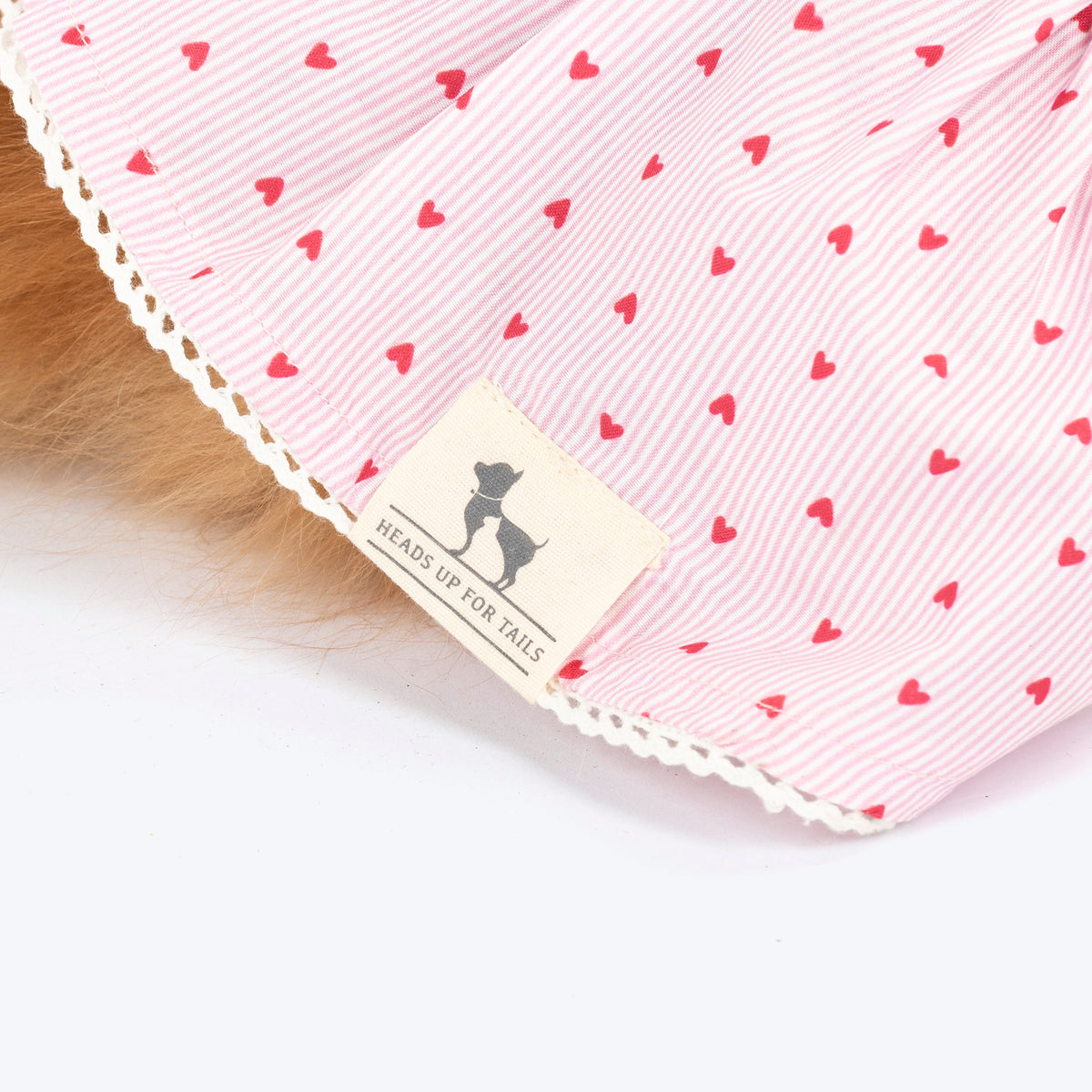 HUFT Sweet Hearts Dress For Cat - Pink