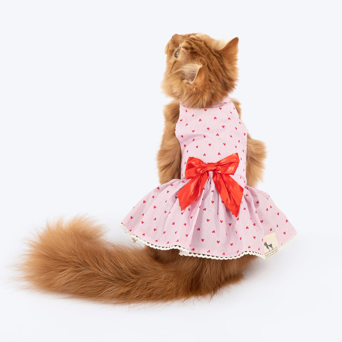 HUFT Sweet Hearts Dress For Cat - Pink