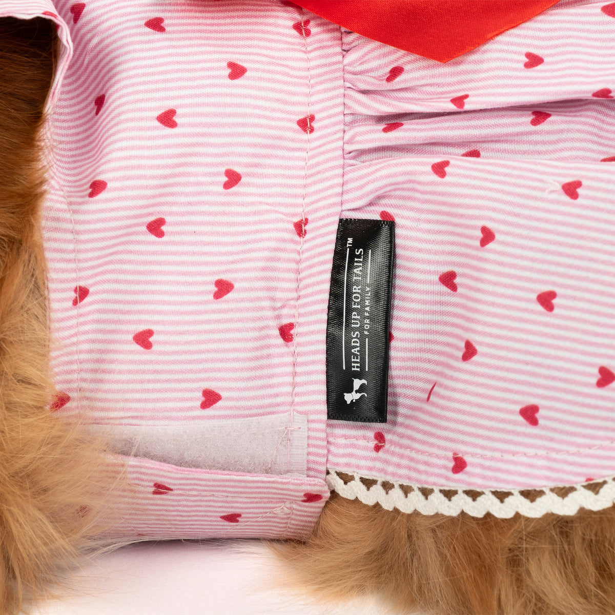 HUFT Sweet Hearts Dress For Cat - Pink