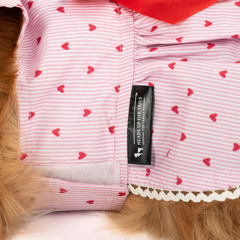 HUFT Sweet Hearts Dress For Cat - Pink