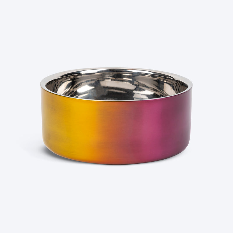 Dash Dog Rainbow Dog Bowl_07