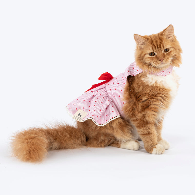 HUFT Sweet Hearts Dress For Cat - Pink