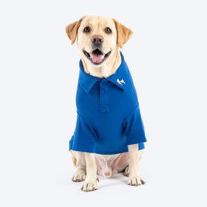 HUFT Paws Polo T-Shirt For Dog - Blue - Heads Up For Tails