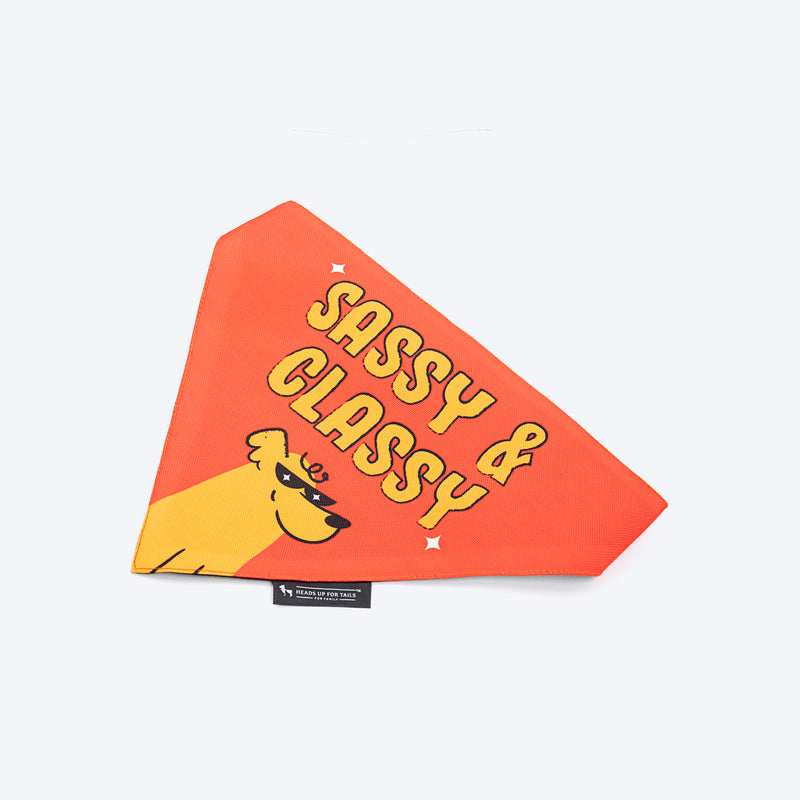 HUFT Sassy & Classy Bandana For Dog - Orange - Heads Up For Tails