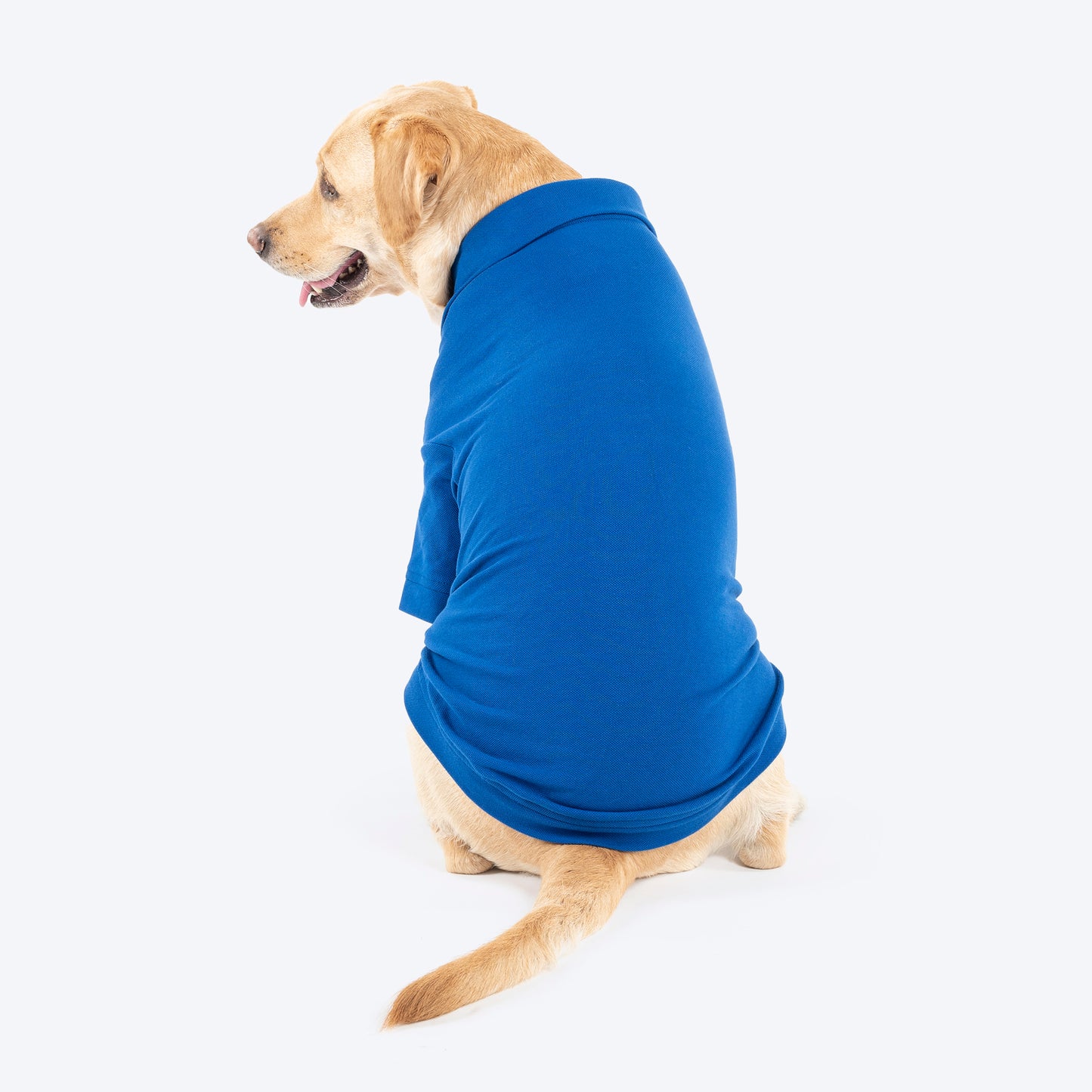 HUFT Paws Polo T-Shirt For Dog - Blue