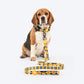 HUFT Daisy Stripes Leash For Dog - Blue & Yellow