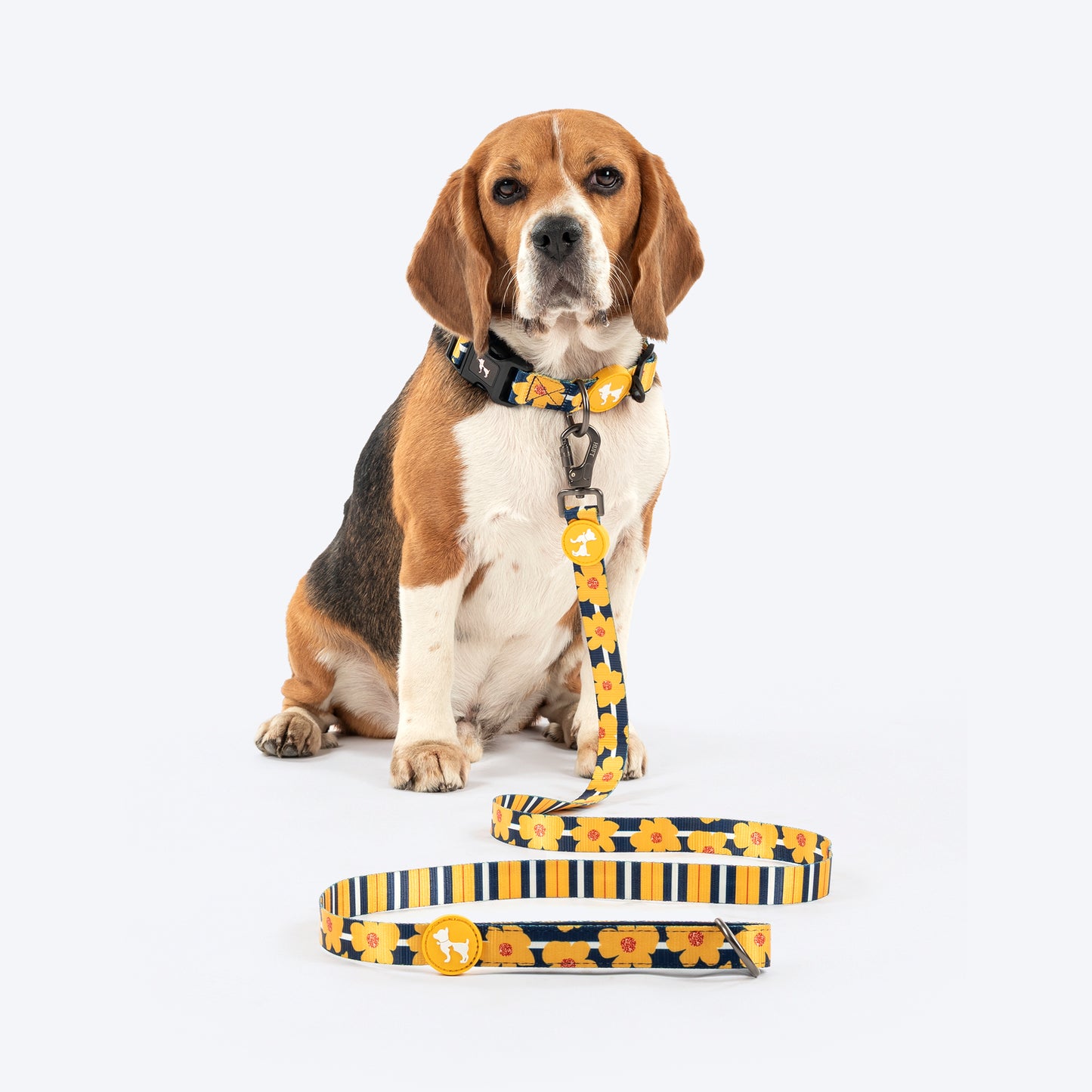 HUFT Daisy Stripes Leash For Dog - Blue & Yellow