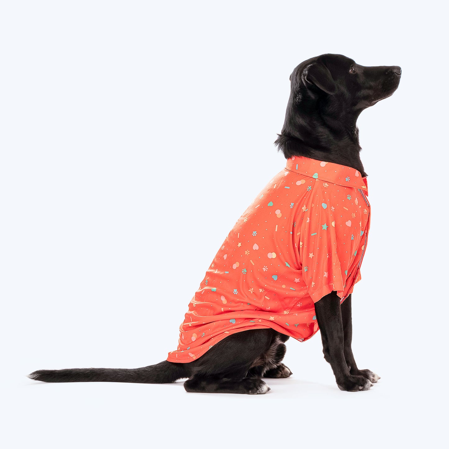 HUFT Party Ready Dog Shirt (Made To Order) - Heads Up For Tails