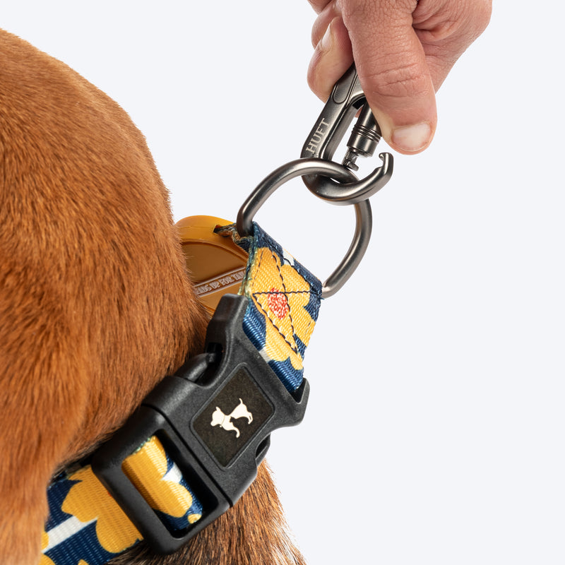 HUFT Daisy Stripes Collar For Dog - Blue & Yellow - Heads Up For Tails