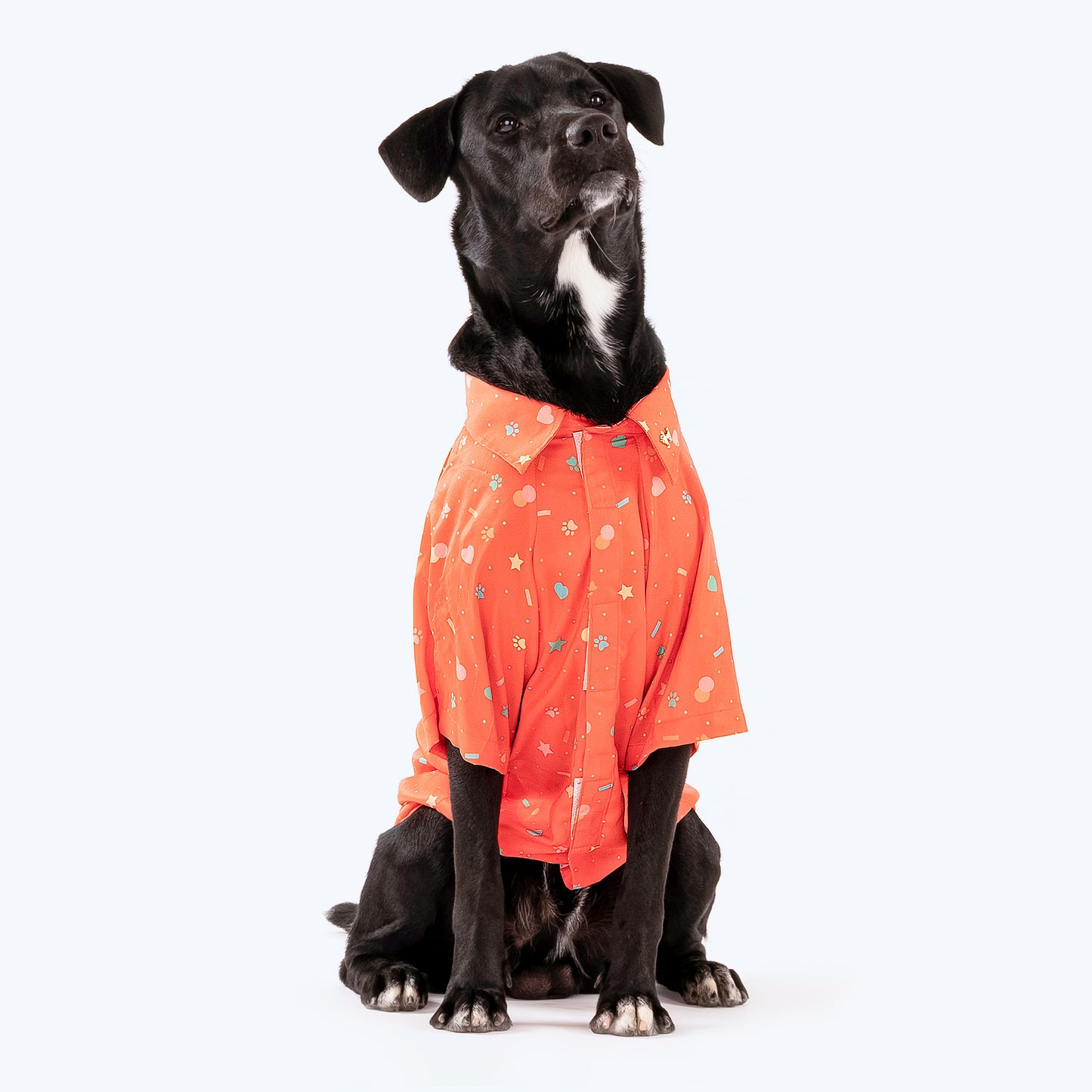 HUFT Party Ready Dog Shirt (Made To Order) - Heads Up For Tails