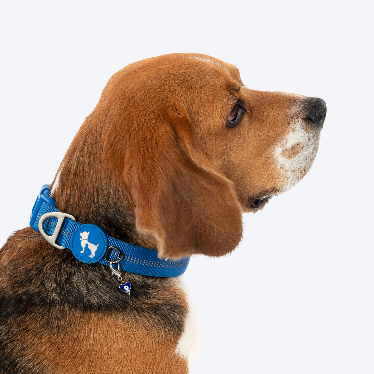 HUFT Love Pawtector Collar Insert For Dog & Cat - Blue - Heads Up For Tails