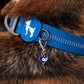 HUFT Love Pawtector Collar Insert For Dog & Cat - Blue