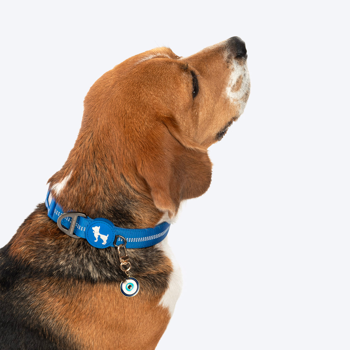 HUFT No Nazar Charm Collar Insert For Dog & Cat - Blue - Heads Up For Tails