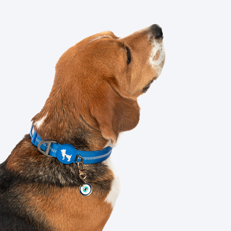 HUFT No Nazar Charm Collar Insert For Dog & Cat - Blue - Heads Up For Tails