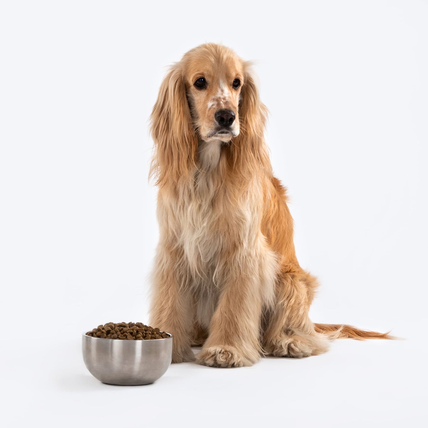 HUFT Hemiglobe Dog Bowl (Silver) - Heads Up For Tails