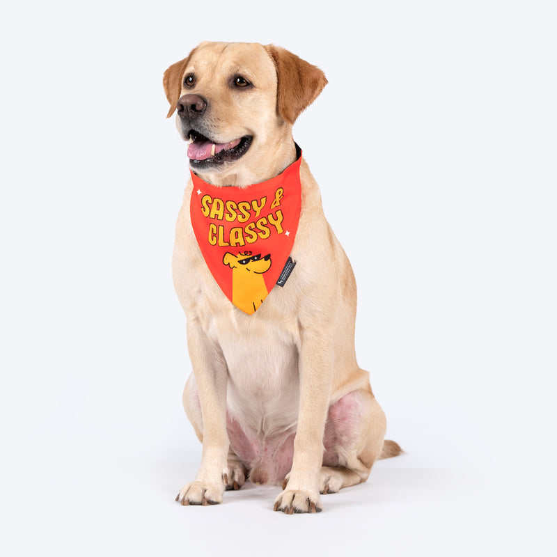 HUFT Sassy & Classy Bandana For Dog - Orange - Heads Up For Tails