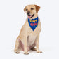 HUFT Raja Beta Bandana For Dog - Blue - Heads Up For Tails