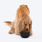HUFT Hemiglobe Dog Bowl (Black) - Heads Up For Tails
