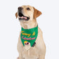 HUFT Furry & Fabulous Bandana For Dog - Green