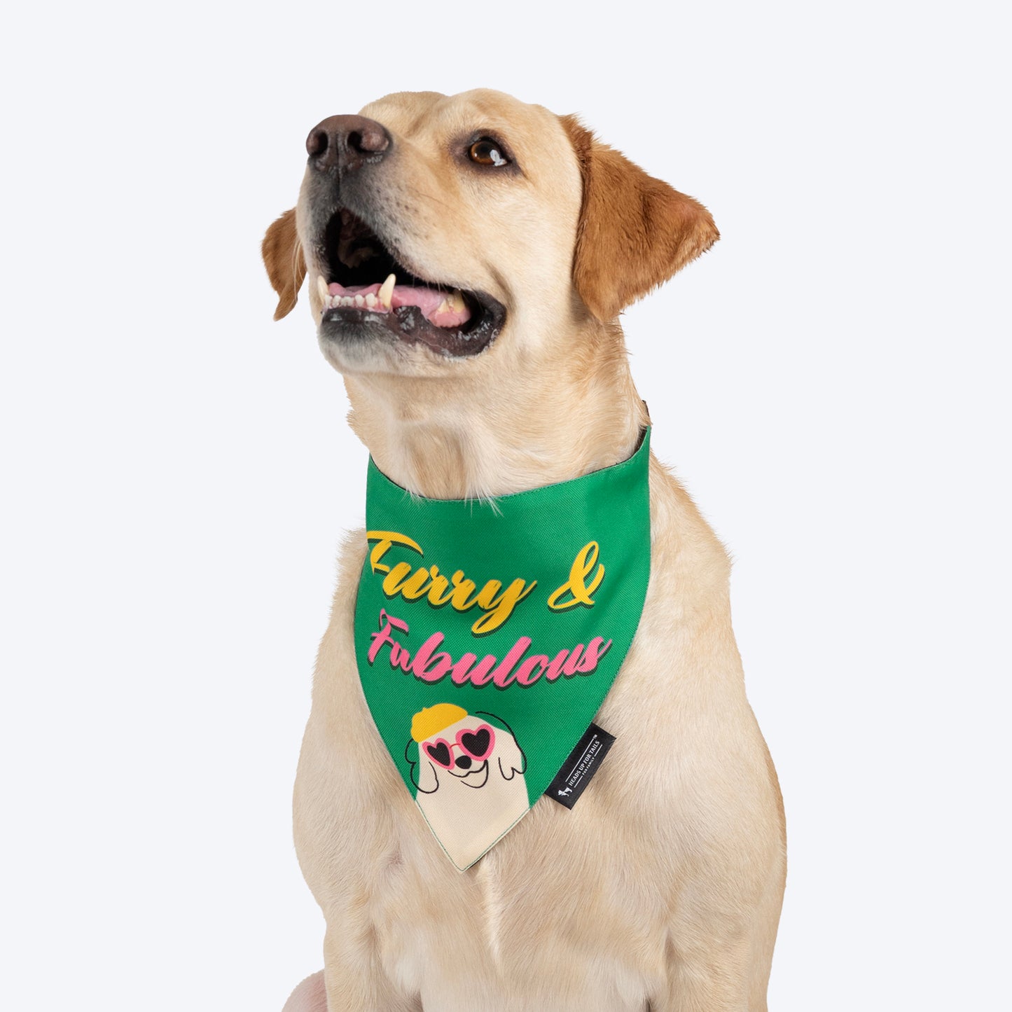 HUFT Furry & Fabulous Bandana For Dog - Green