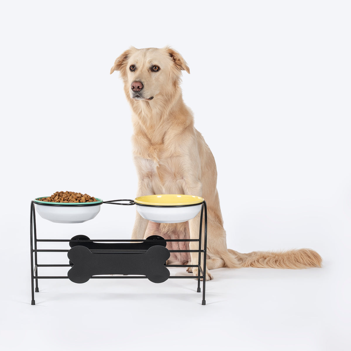 HUFT Pawlicious Double Diner For Dog - Multicolor - Heads Up For Tails