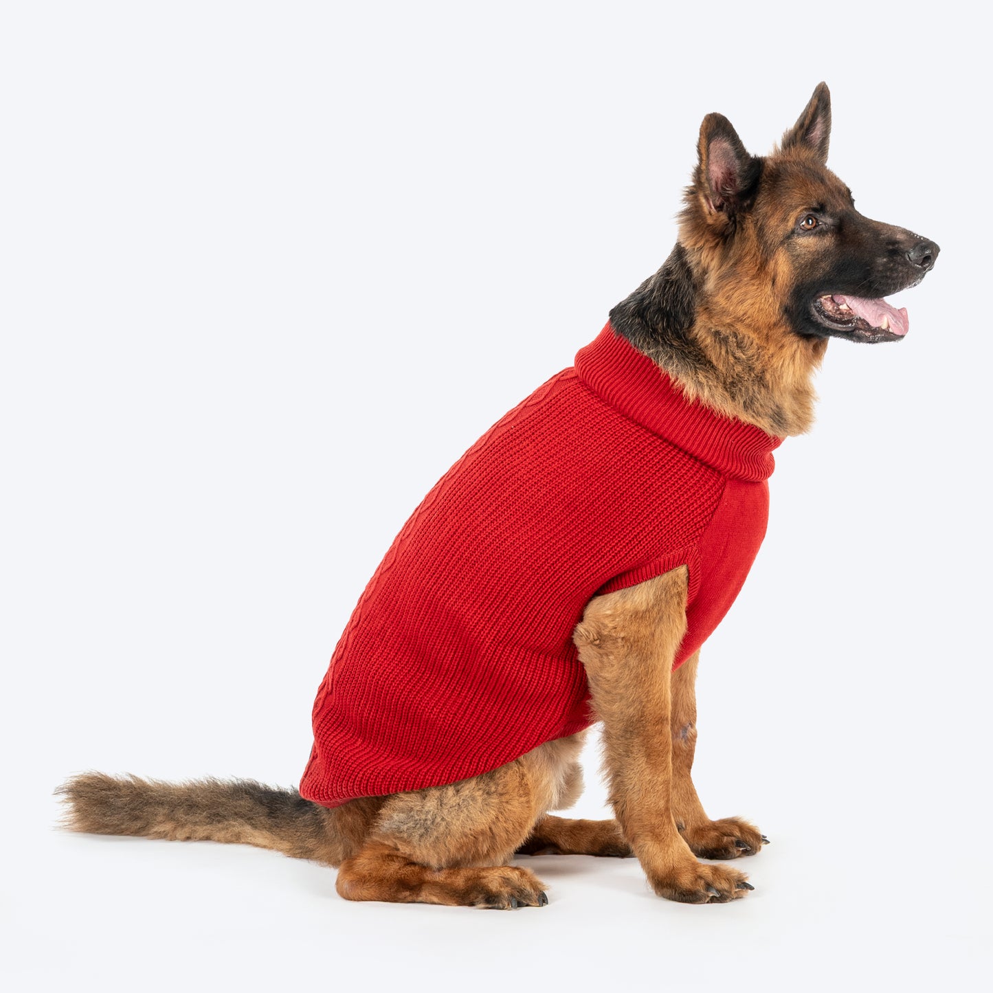 HUFT Berry Merry Sweater For Dog - Red