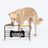 HUFT Personalised Pawlicious Double Diner For Dog - Multicolor - Heads Up For Tails