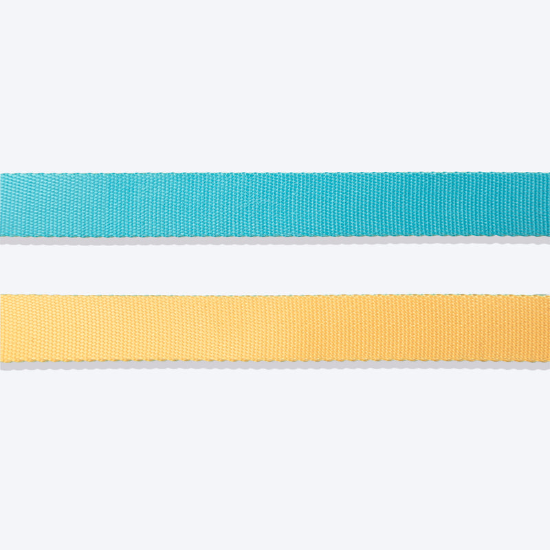 HUFT Dichromatic Leash For Dog - Turquoise & Yellow - Heads Up For Tails