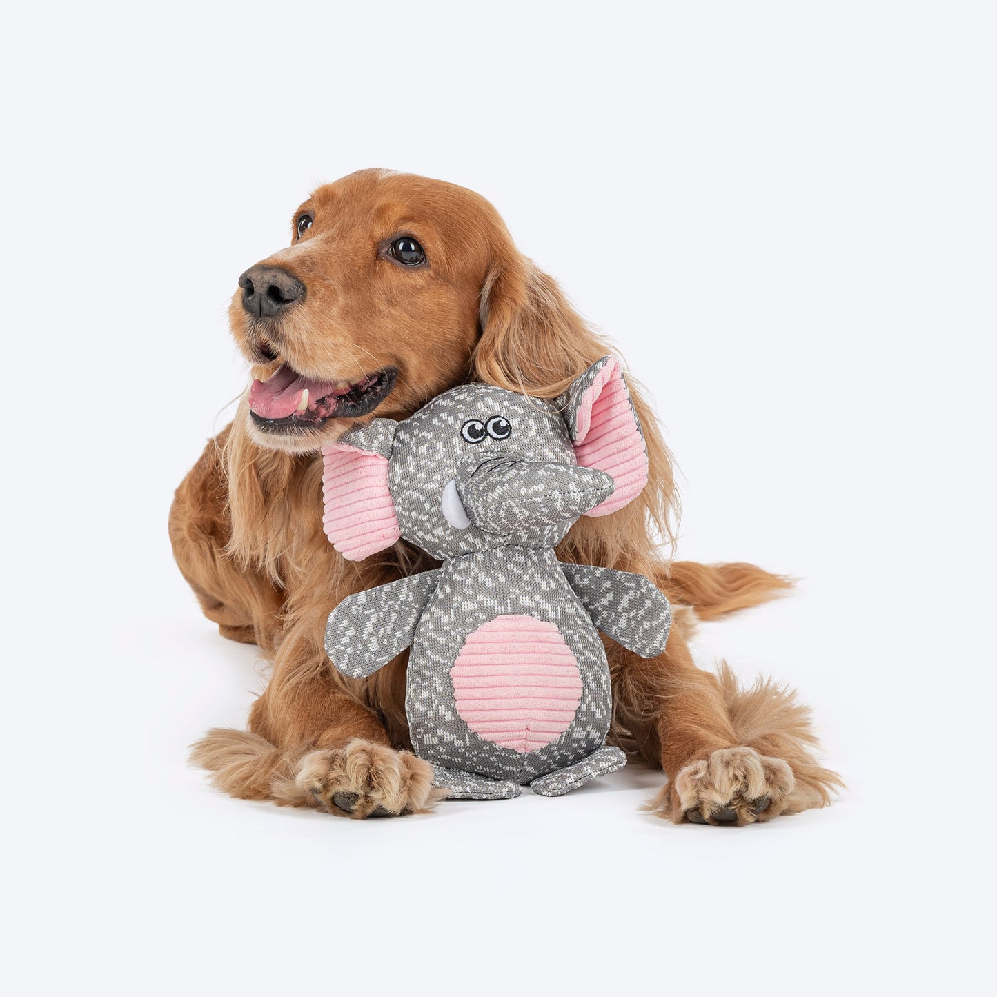 HUFT Squeaky Snugglephant Plush Toy For Dog - Grey - Heads Up For Tails