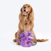 Dash Dog Cheeky Dinosaurus Squeaky Plush Toy For Dog - Purple - Heads Up For Tails