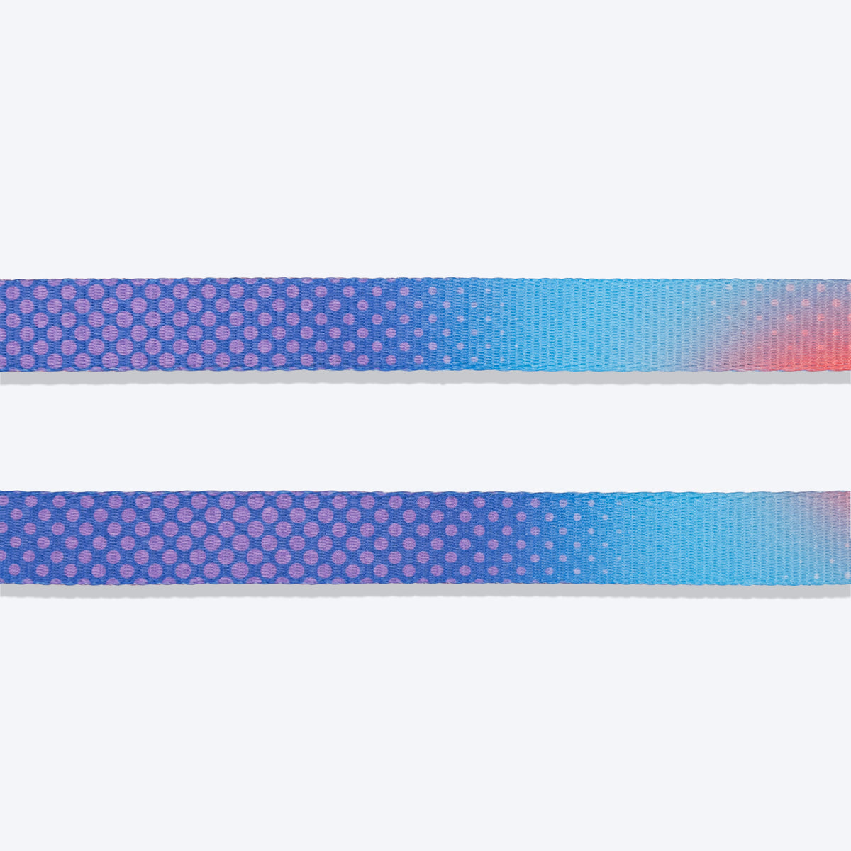 Dash Dog Flow Print Leash - Violet & Red - Heads Up For Tails