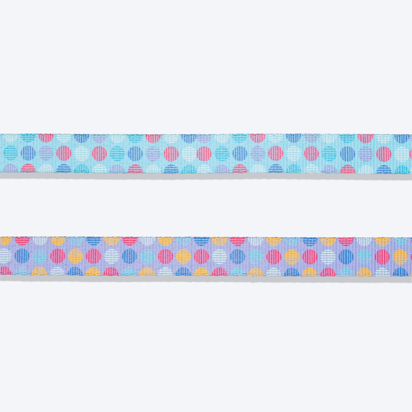 Dash Dog Circle Print Leash - Aqua Blue & Lavender