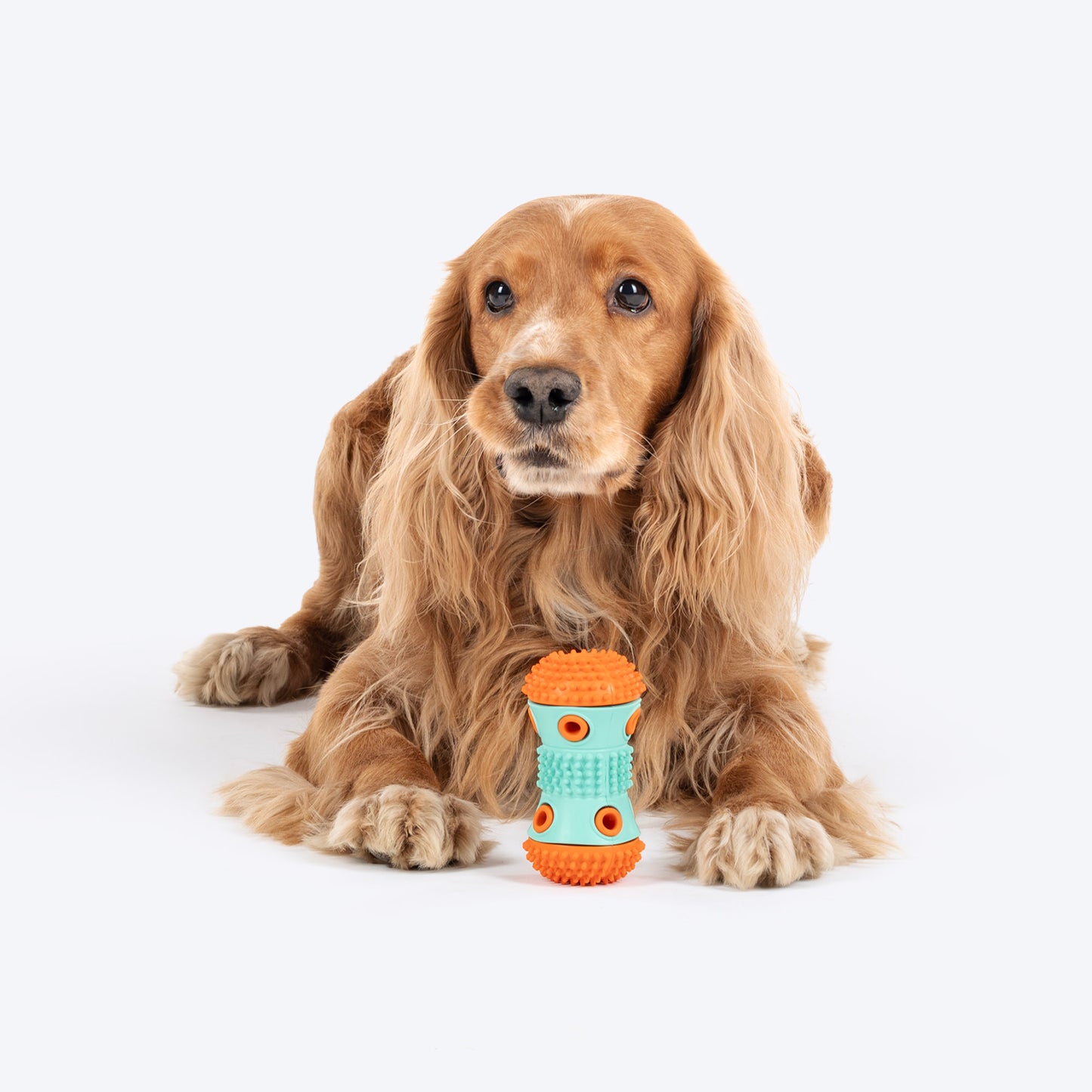 Dash Dog Dumbbell Treat Chew Toy For Dog - Blue & Orange - Heads Up For Tails