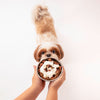 HUFT All Day Muesli with Chicken, Carrots and Beetroot Doggie Treats - 250 g - Heads Up For Tails
