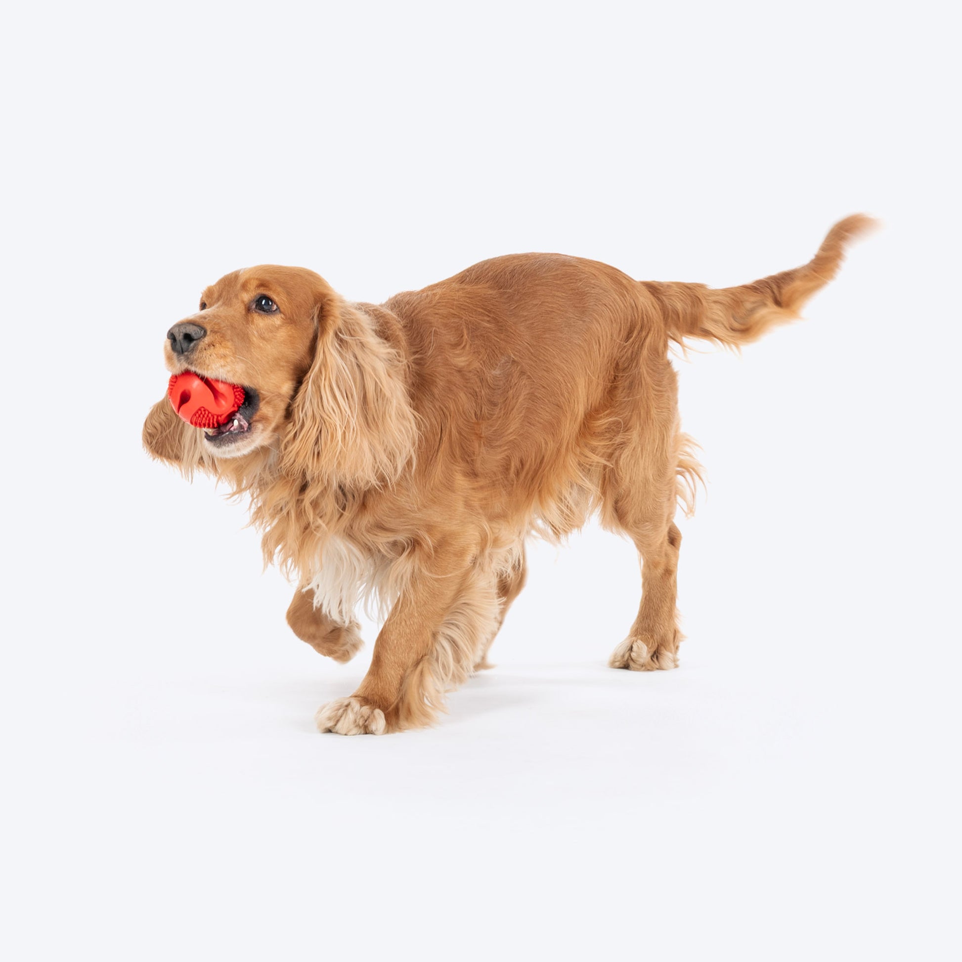 Dash Dog Spikey Snacker Chew Ball Dog Toy - Red - Heads Up For Tails