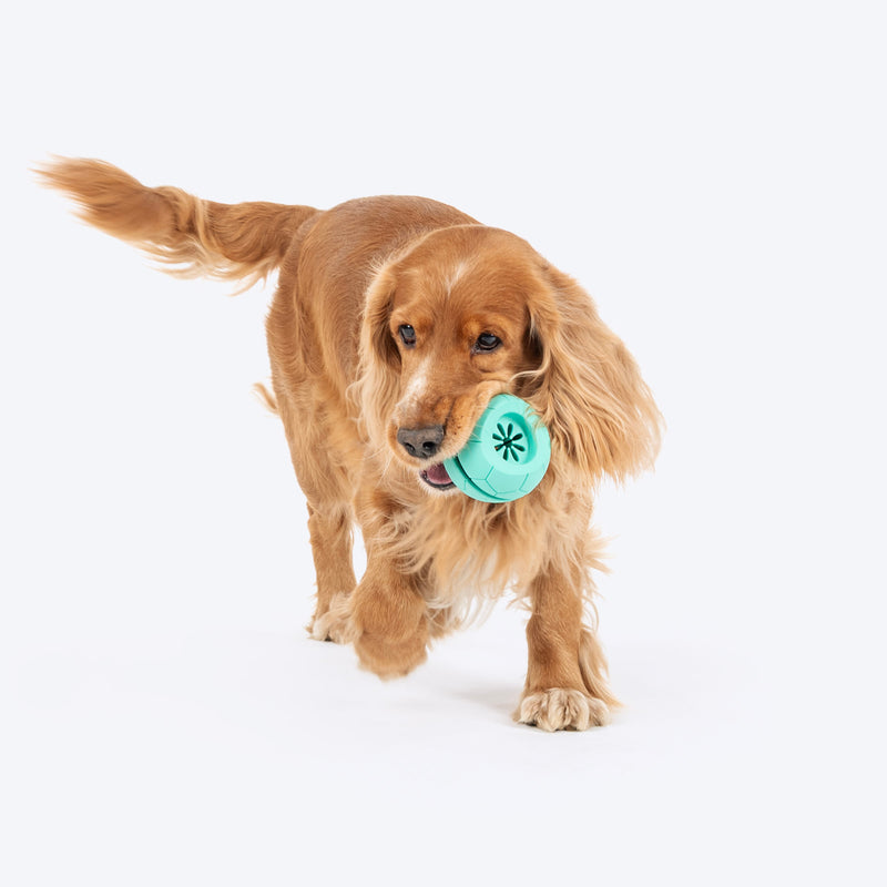 Dash Dog Mighty Football Chew Toy For Dog - Blue - Heads Up For Tails