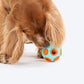 Dash Dog Toss ‘n’ Treat Ball Chew Toy For Dog - Blue & Orange - S - Heads Up For Tails