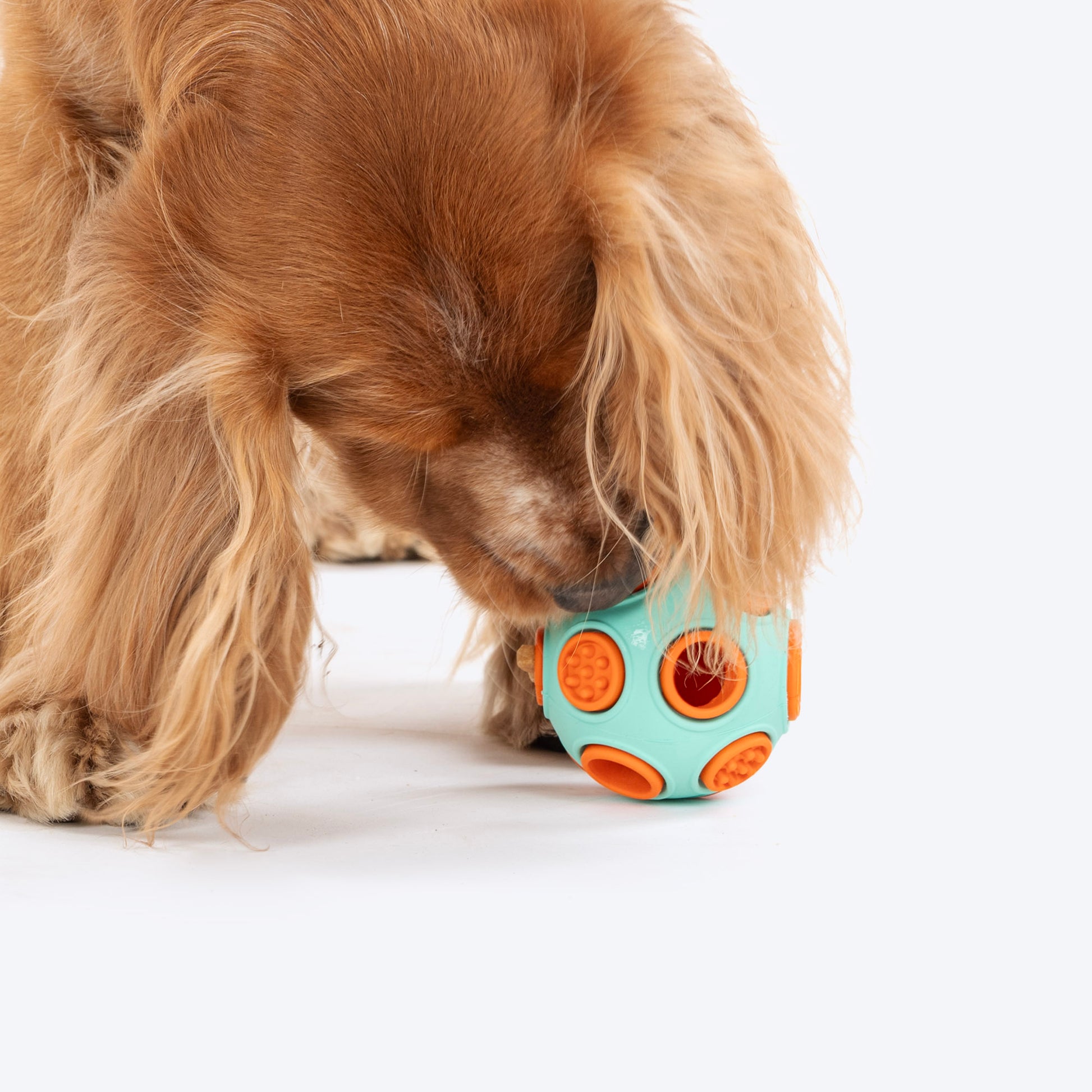 Dash Dog Toss ‘n’ Treat Ball Chew Toy For Dog - Blue & Orange - S - Heads Up For Tails