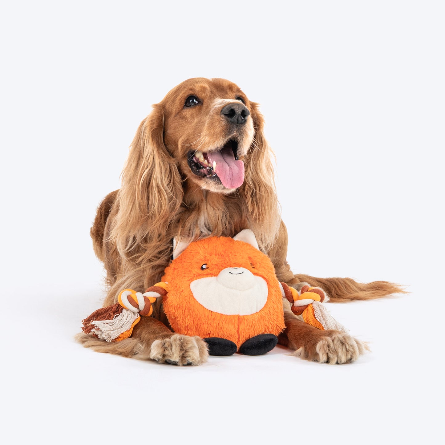 Dash Dog Clever Fox Squeaky Plush Toy For Dog - Orange - Heads Up For Tails