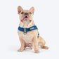 HUFT Easy Fit U-Harness For Dog - Blue