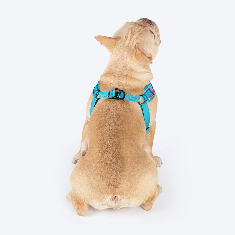 HUFT Free Flow Step-In Harness & Leash Set For Dog - Geomatrix Blue - Heads Up For Tails