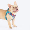 HUFT Free Flow Step-In Harness & Leash Set For Dog - Geomatrix Blue - Heads Up For Tails